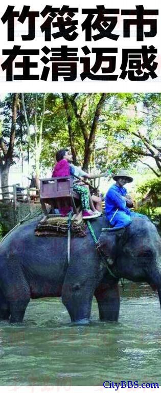 骑着大象过河，可以说是东南亚旅游的特色项目。 