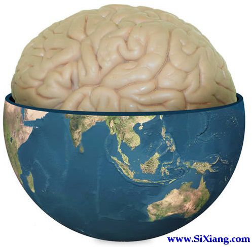 专家提出地球脑概念 原来地球脑在38.5亿年前就诞生了