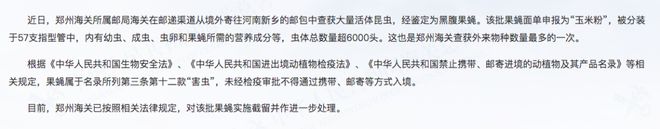 我国海关截获过一种入侵物种——黑腹果蝇