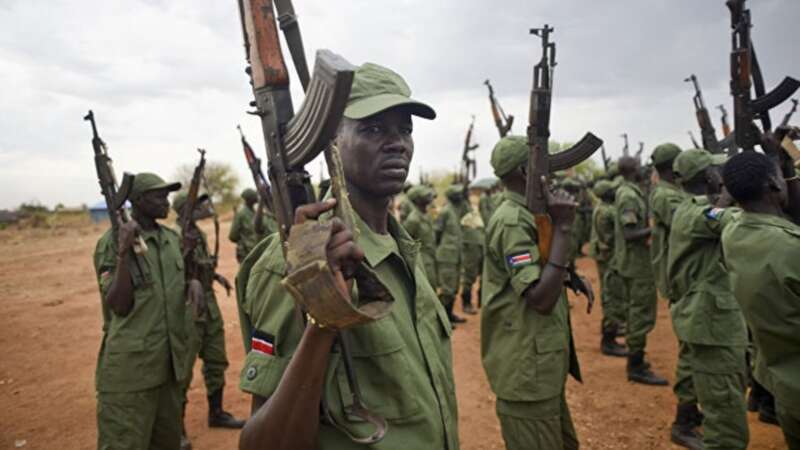 苏丹国防军要求将快速支援部队拆散编入国防军，指挥权交给苏丹国防部，就直接引发了苏丹内战 ...